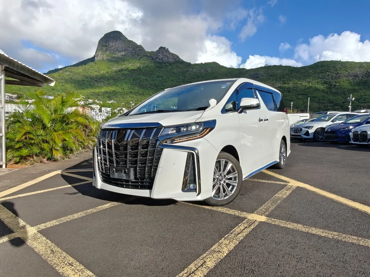 Toyota Alphard S Type Gold 2