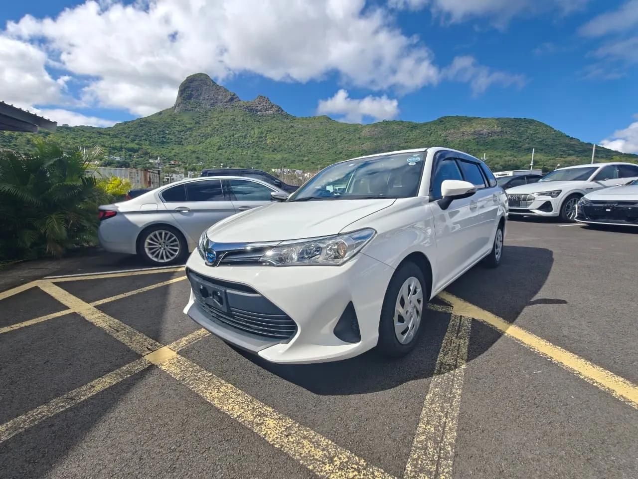 Toyota Corolla Fielder EX