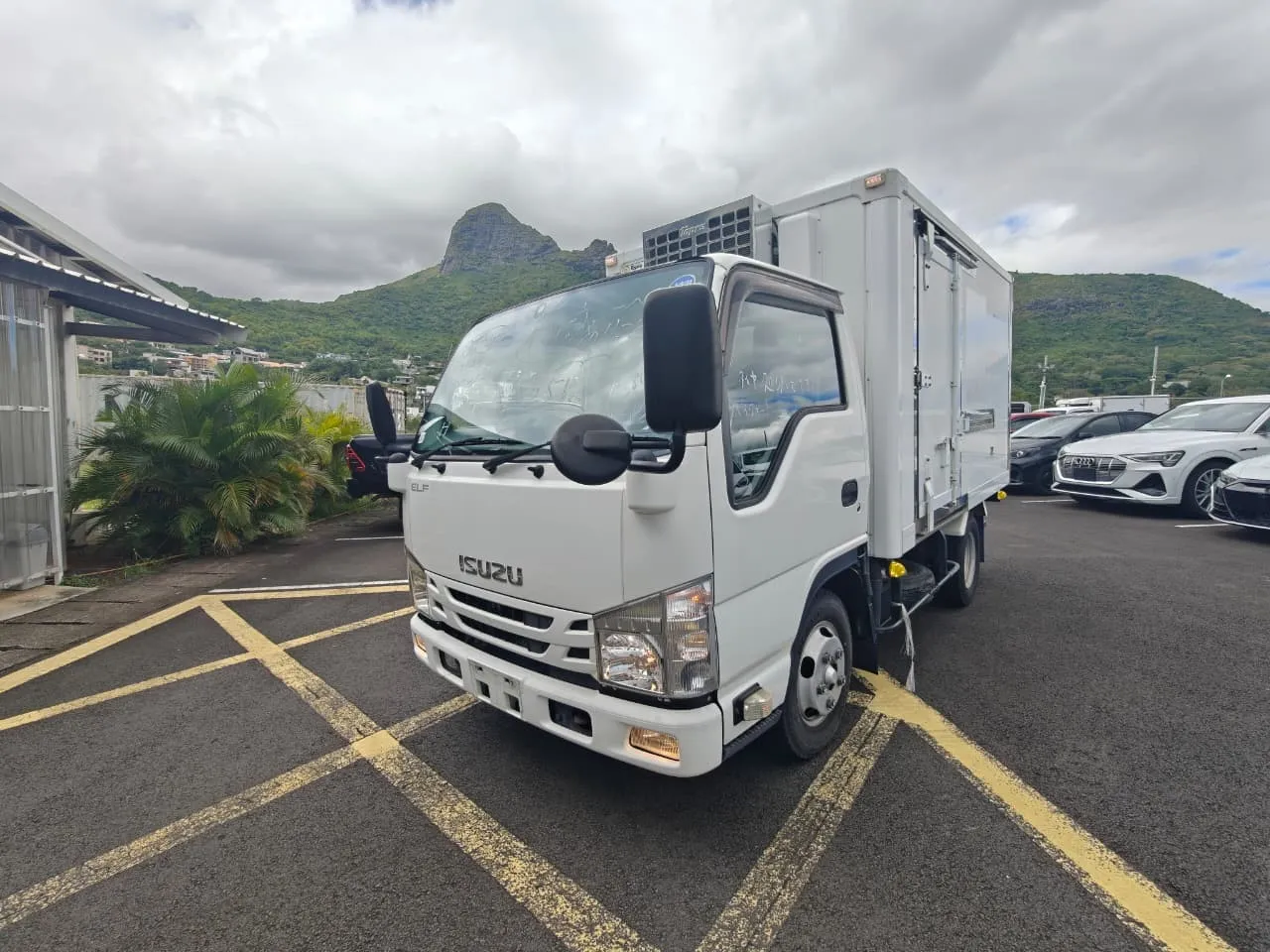 Isuzu Elf Freezer 